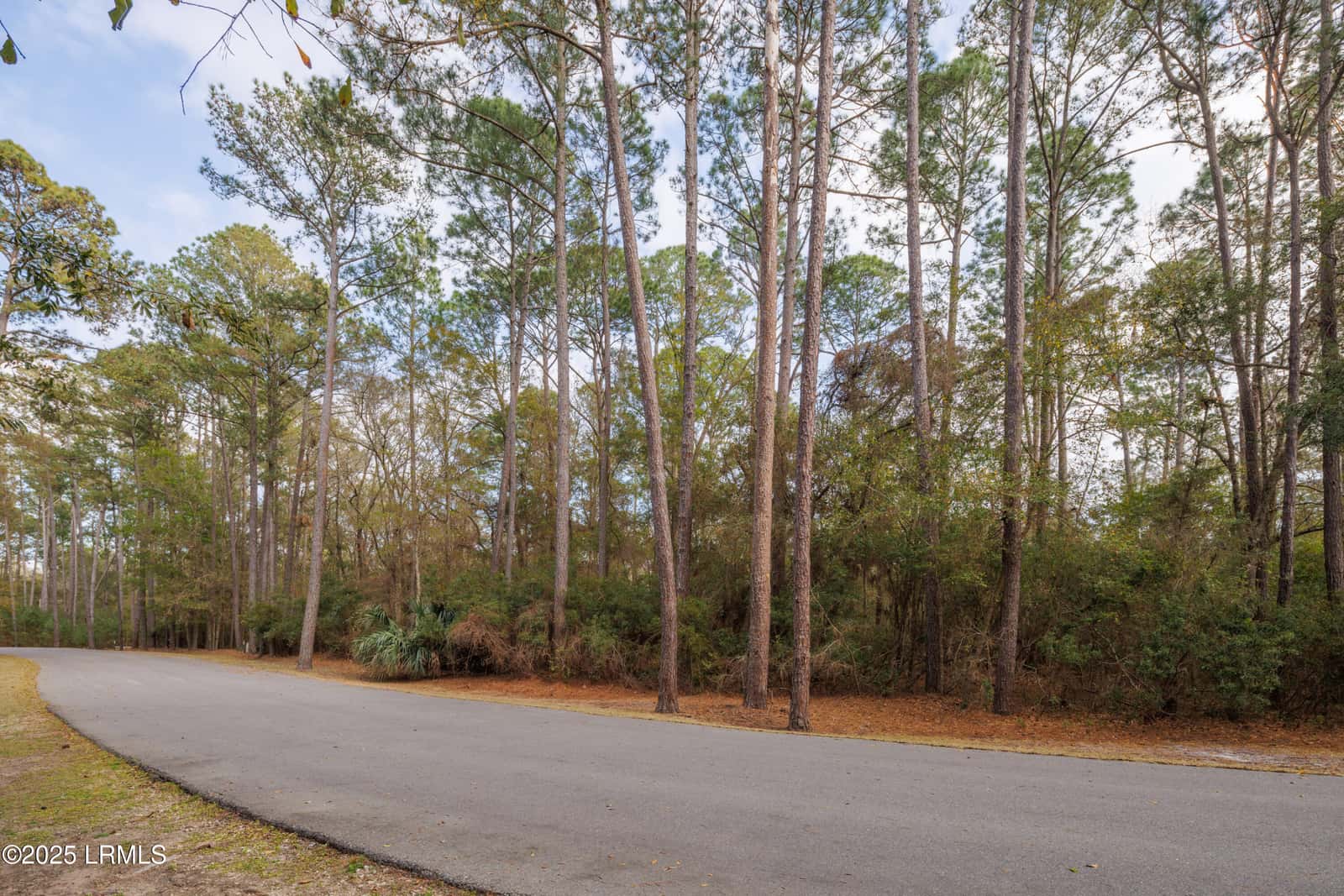 16 Vista Boulevard W, St. Helena Island, SC 29920 — photo 16 of 22