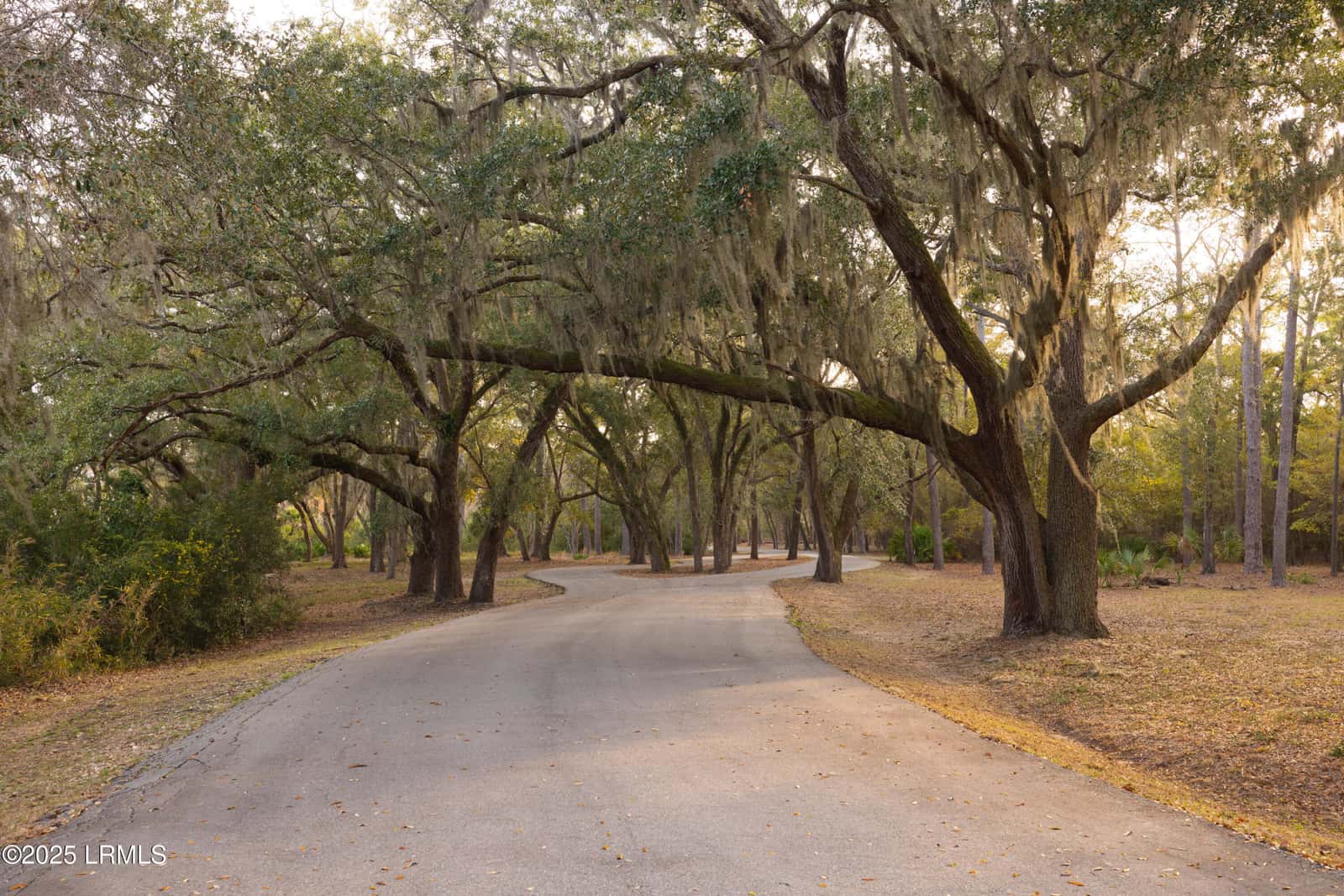 16 Vista Boulevard W, St. Helena Island, SC 29920 — photo 4 of 22