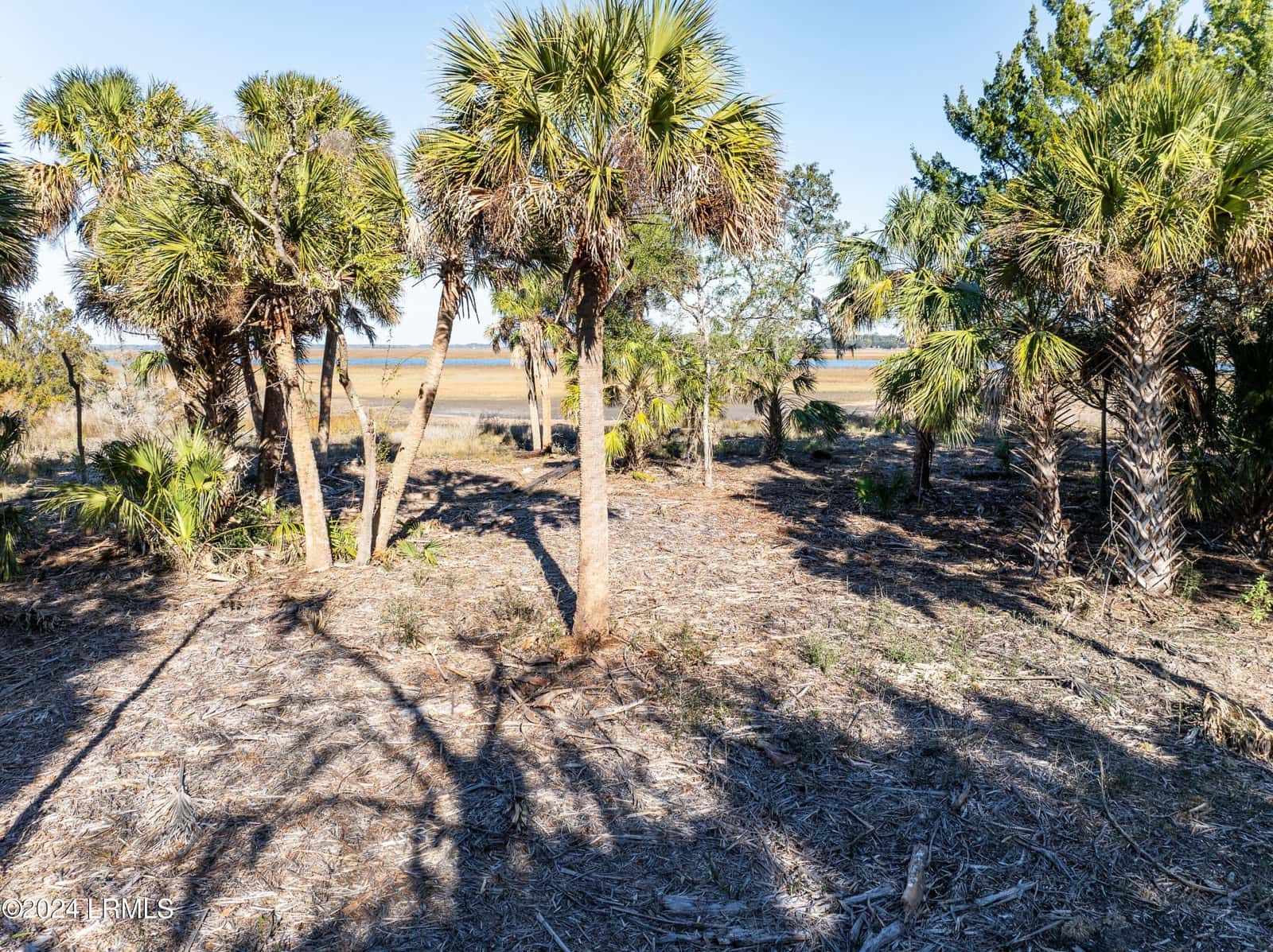 36 Ashton Drive, St. Helena Island, SC 29920 — photo 4 of 15