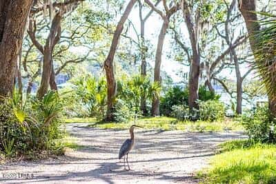 345 Distant Island Drive, Beaufort, SC 29907 — photo 12 of 30