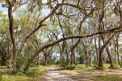 345 Distant Island Drive, Beaufort, SC 29907 — photo 15 of 30