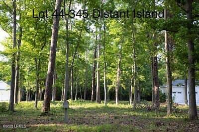 345 Distant Island Drive, Beaufort, SC 29907 — photo 7 of 30