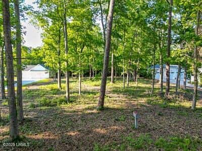 345 Distant Island Drive, Beaufort, SC 29907 — photo 8 of 30