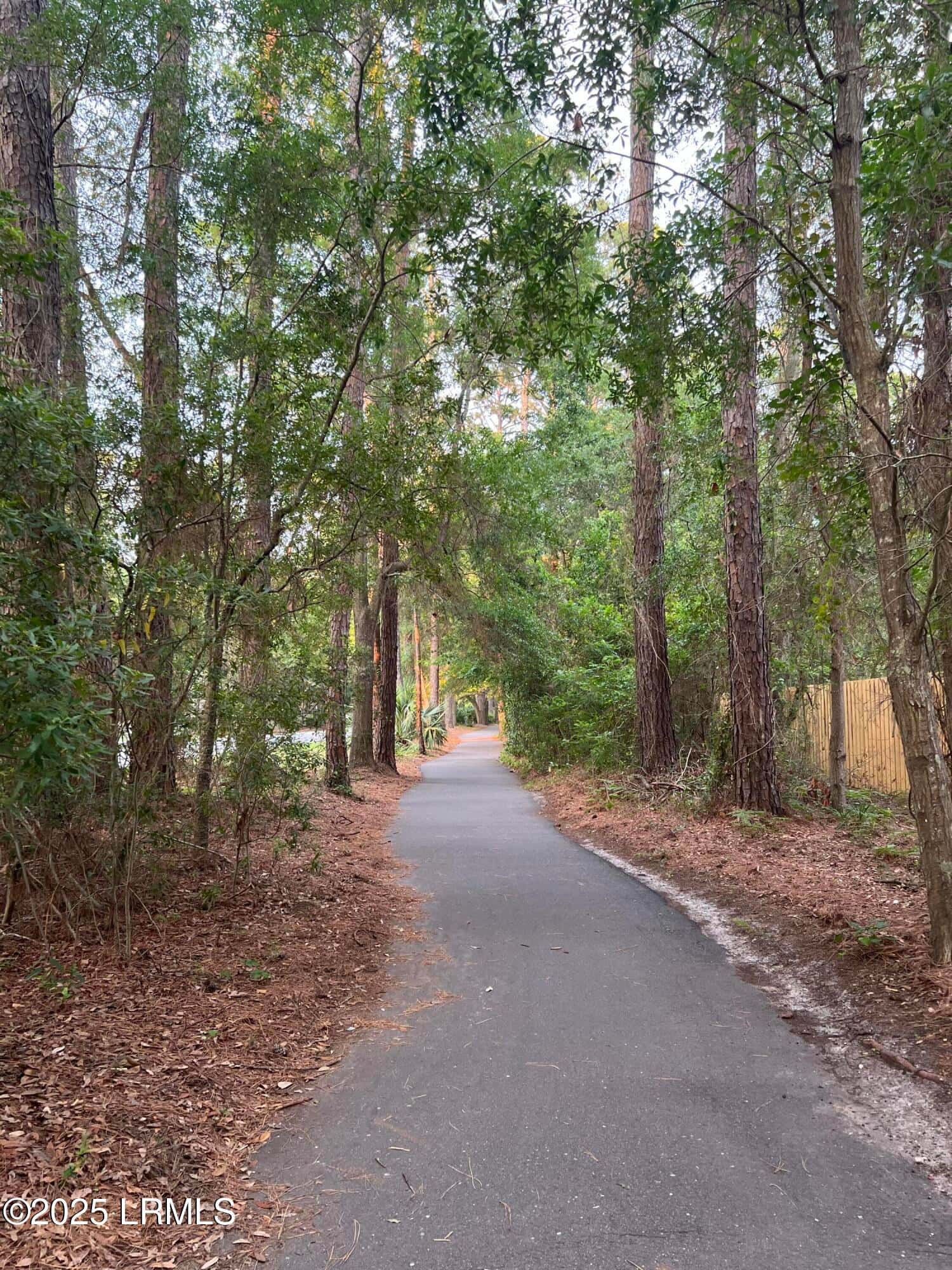 123 Sandcastle Court, Hilton Head Island, SC 29928 — photo 83 of 95