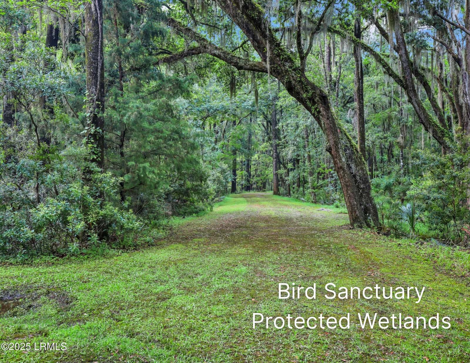 15 Barnaby Bluff, Seabrook, SC 29940 — photo 79 of 85