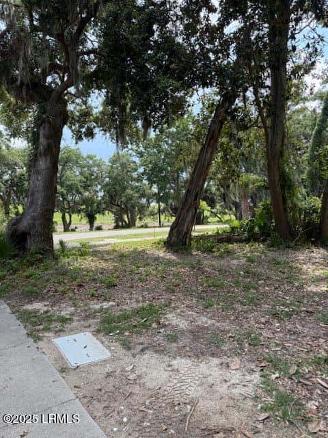 16 W Haven, Beaufort, SC 29906 — photo 4 of 24