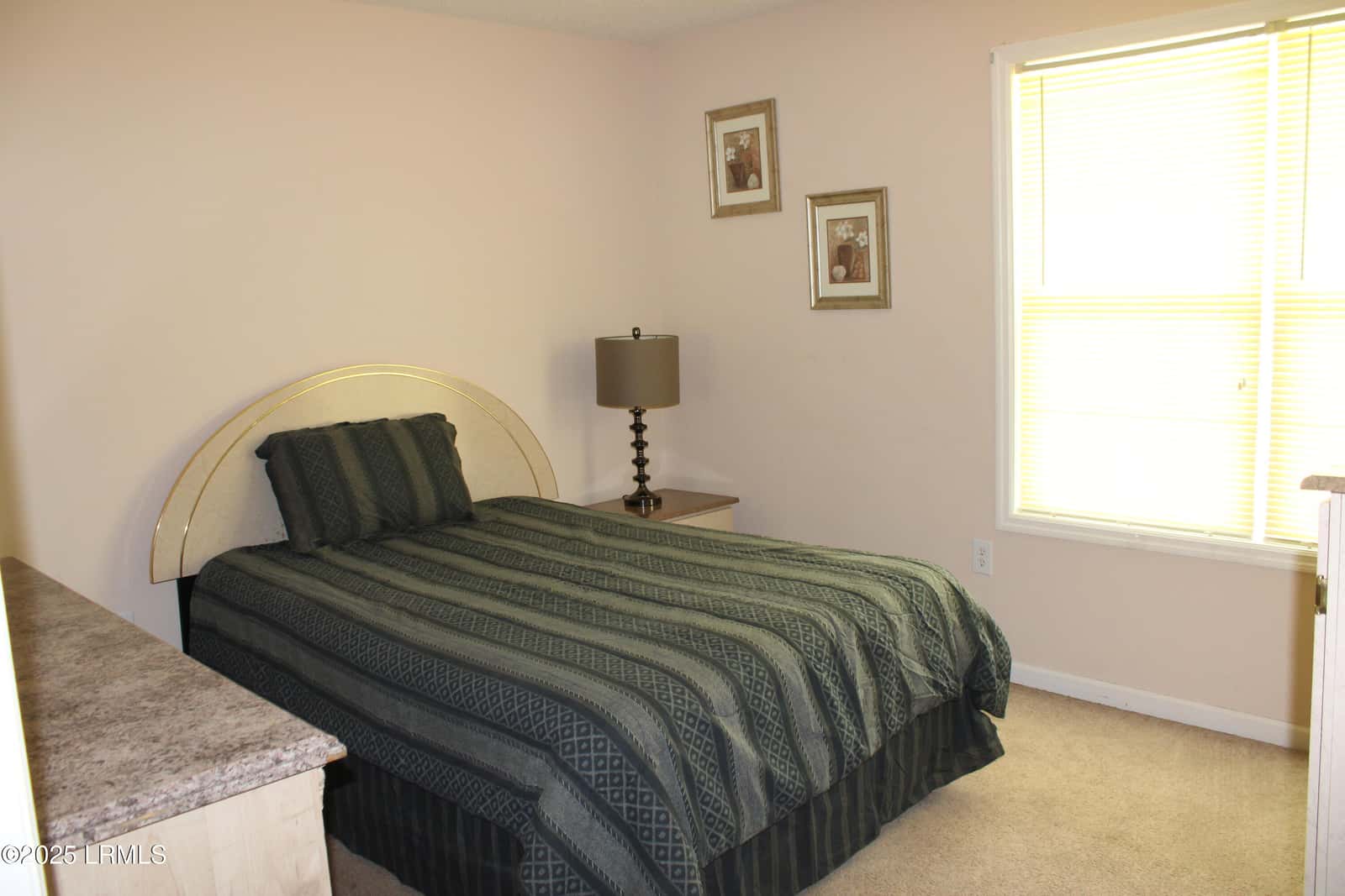 609 Ashley Drive, Hampton, SC 29924 — photo 7 of 17
