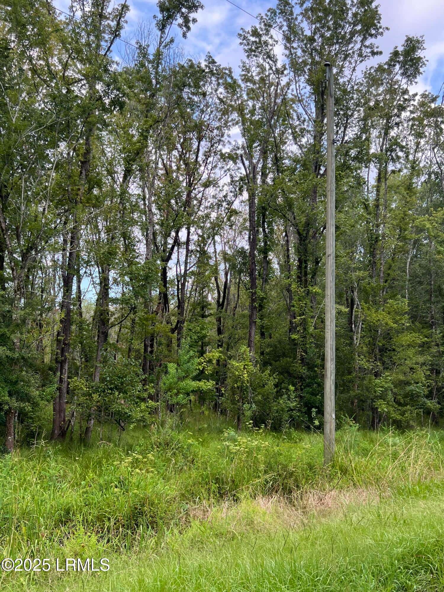 69 Jacob White Road, Yemassee, SC 29945 — photo 3 of 8
