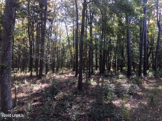 Tbd Goethe Hill Road, Beaufort, SC 29906 — photo 4 of 11
