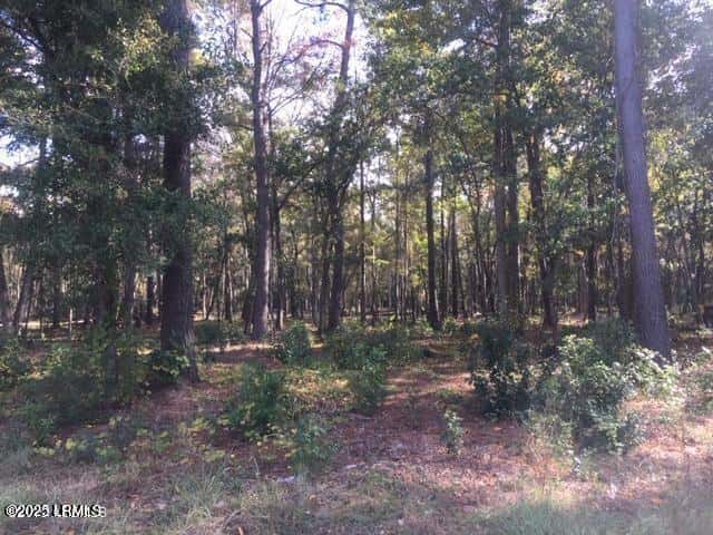 Tbd Goethe Hill Road, Beaufort, SC 29906 — photo 9 of 11