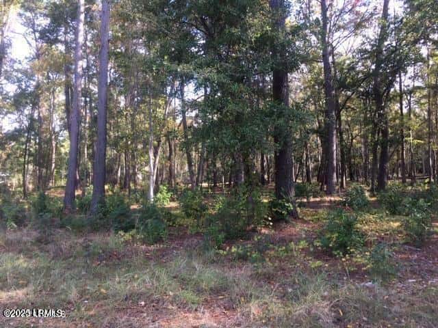 Tbd Goethe Hill Road, Beaufort, SC 29906 — photo 10 of 11