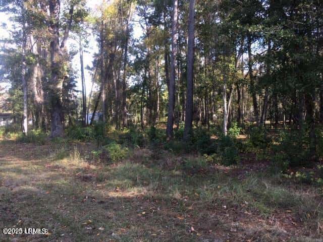 Tbd Goethe Hill Road, Beaufort, SC 29906 — photo 11 of 11