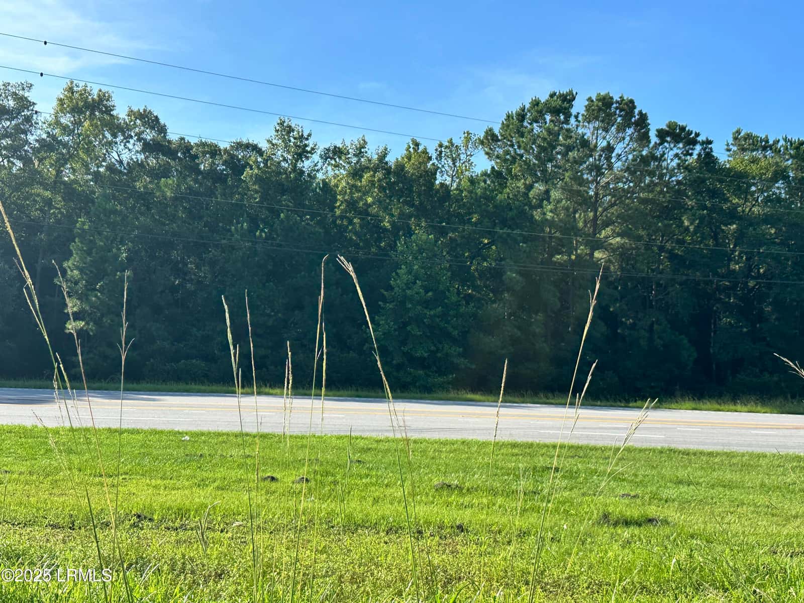 Lot 5a N Okatie Highway, Ridgeland, SC 29936 — photo 4 of 13