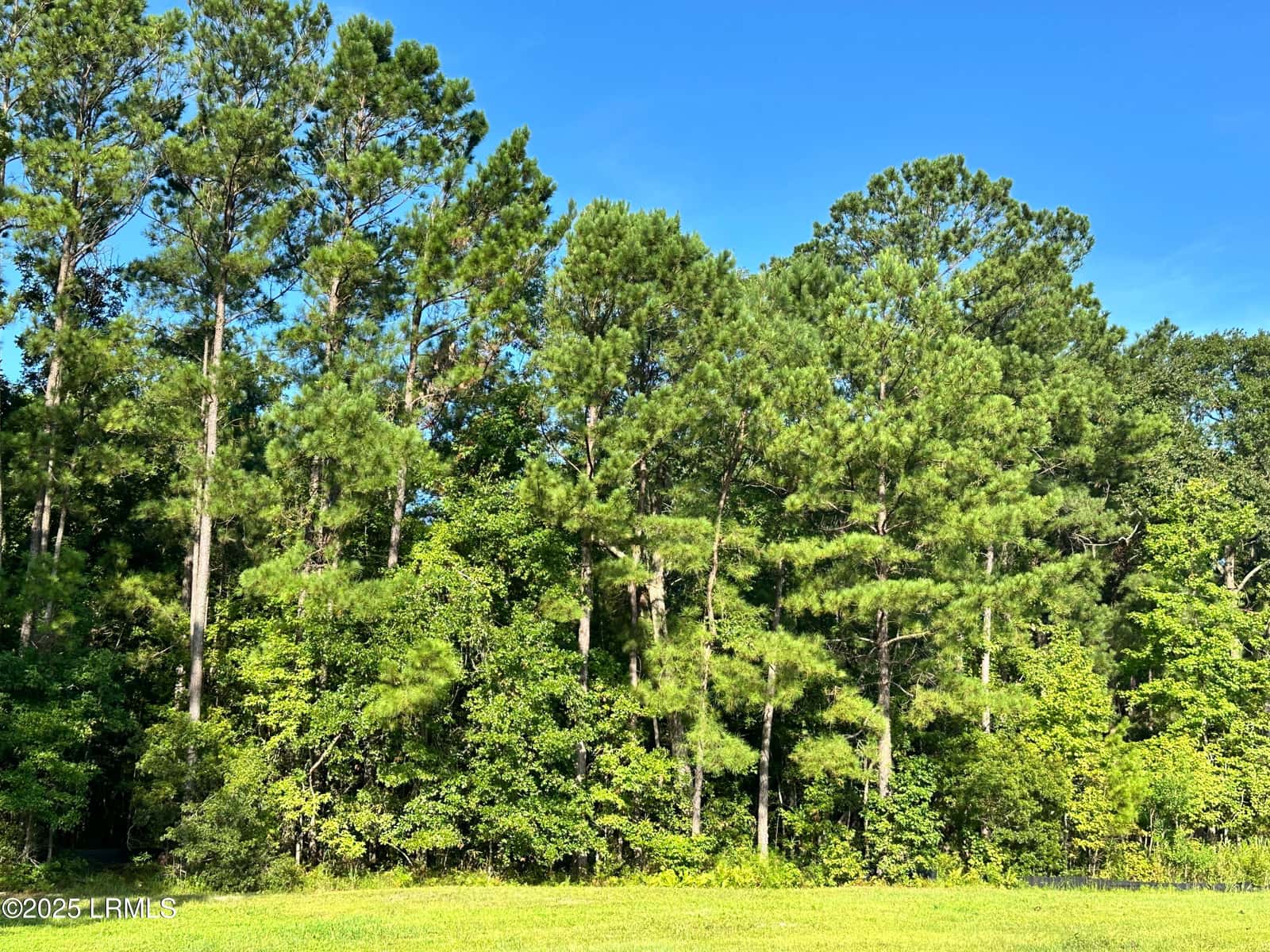 Lot 5a N Okatie Highway, Ridgeland, SC 29936 — photo 7 of 13