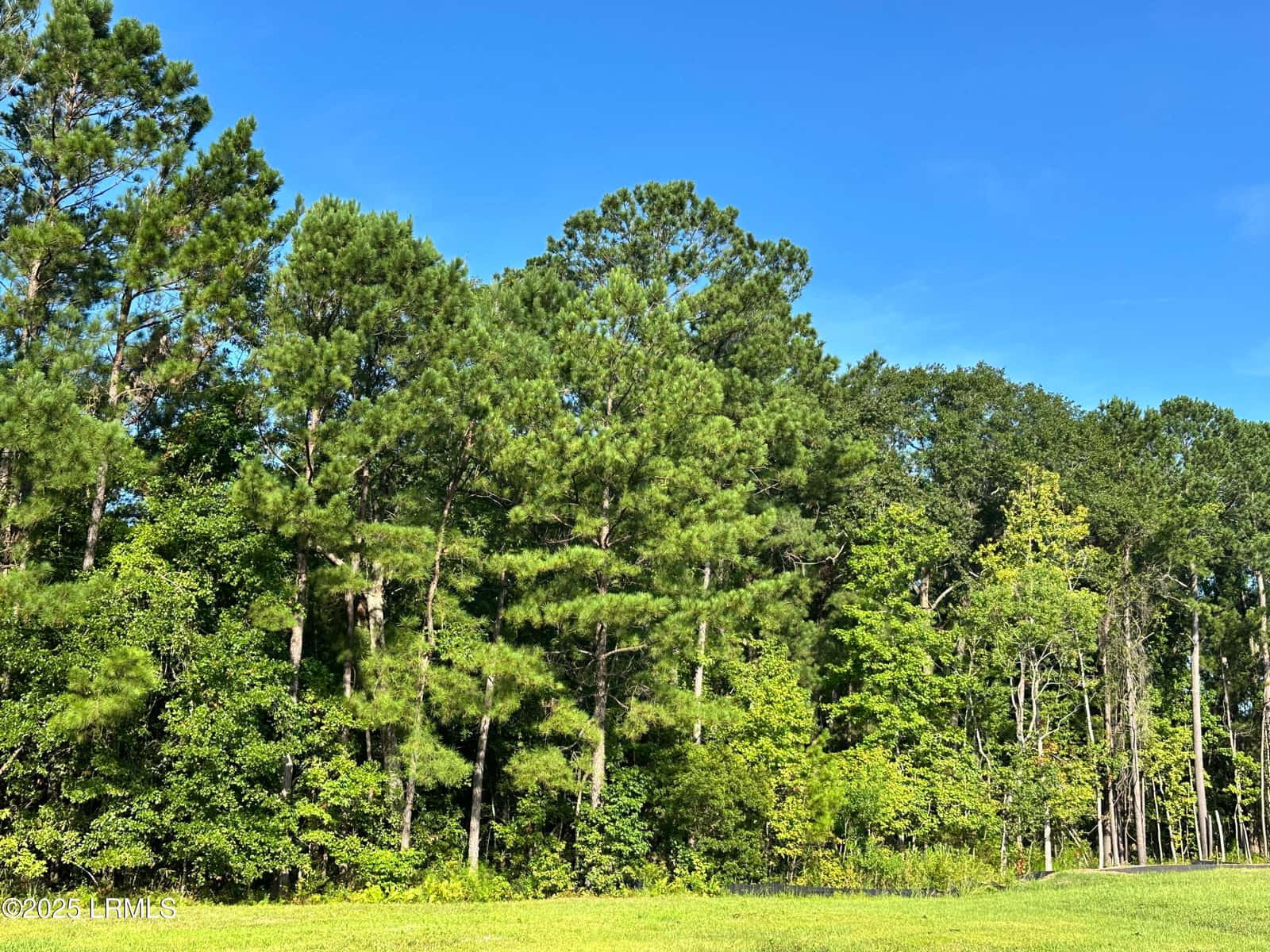 Lot 5b N Okatie Highway, Ridgeland, SC 29936 — photo 9 of 13