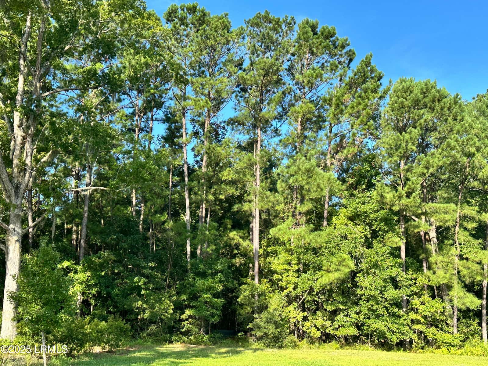 Lot 5c N Okatie Highway, Ridgeland, SC 29936 — photo 7 of 13