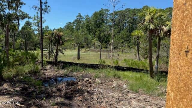 5 Woodstork Watch, Okatie, SC 29909 — photo 2 of 4