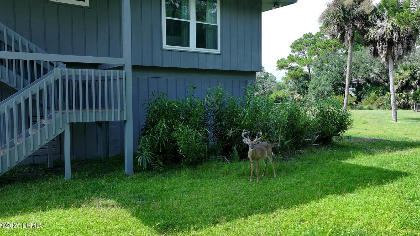 416 Skimmer Cove, Fripp Island, SC 29920 — photo 37 of 38