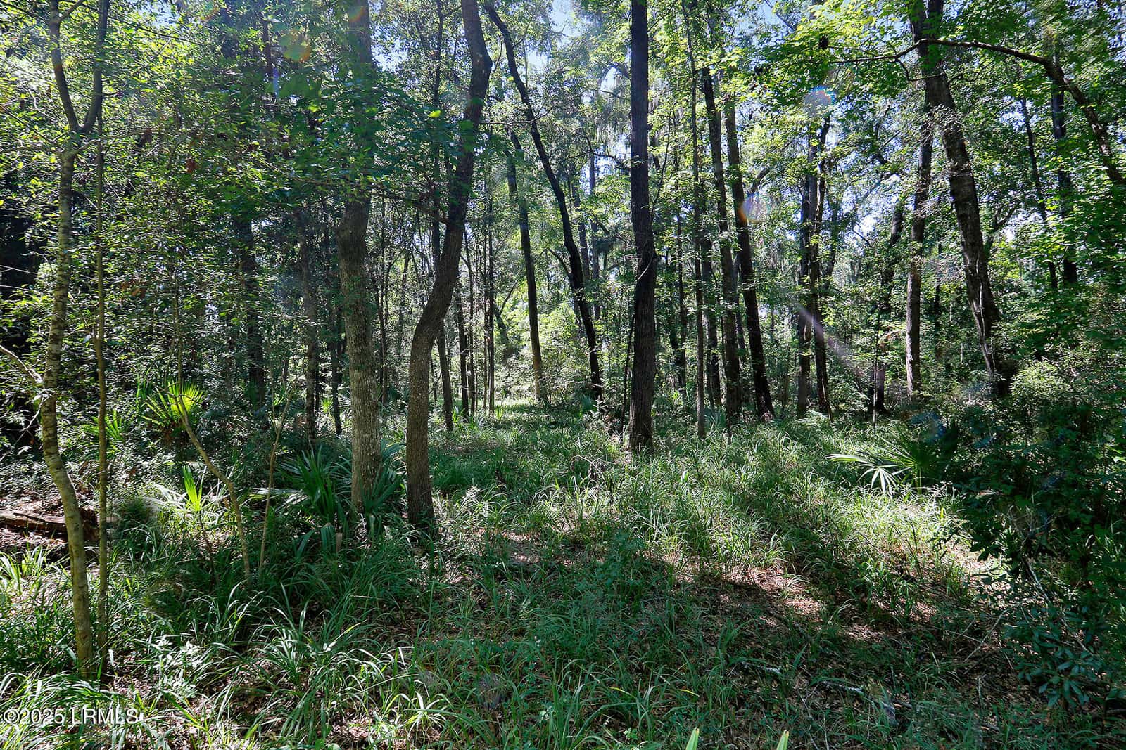 106 Barnaby Bluff, Seabrook, SC 29940 — photo 33 of 49