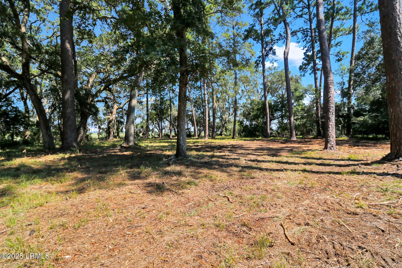 23 Broadview Drive, Ridgeland, SC 29936 — photo 25 of 27