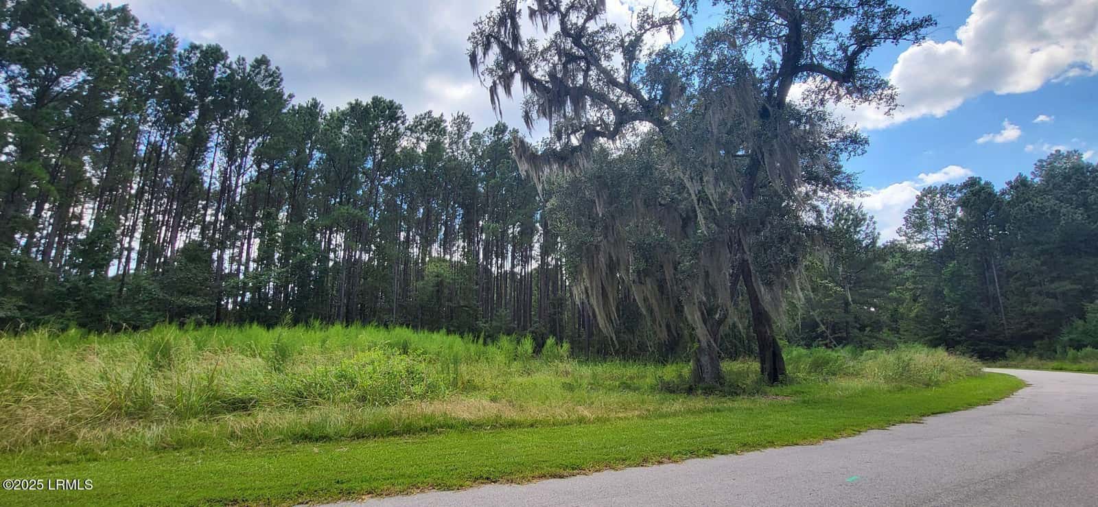 690 Somerset Drive, Yemassee, SC 29945 — photo 13 of 14