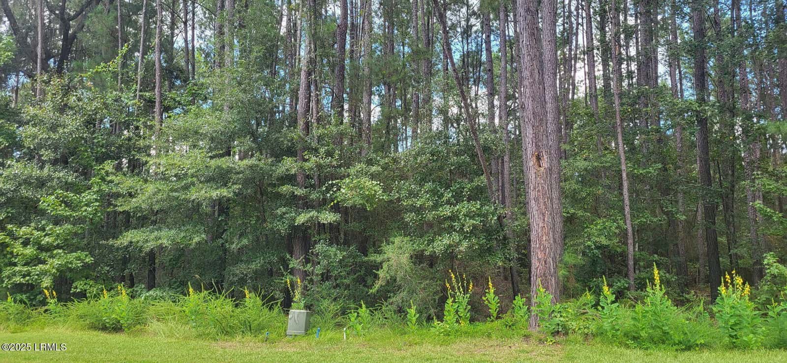 690 Somerset Drive, Yemassee, SC 29945 — photo 11 of 14