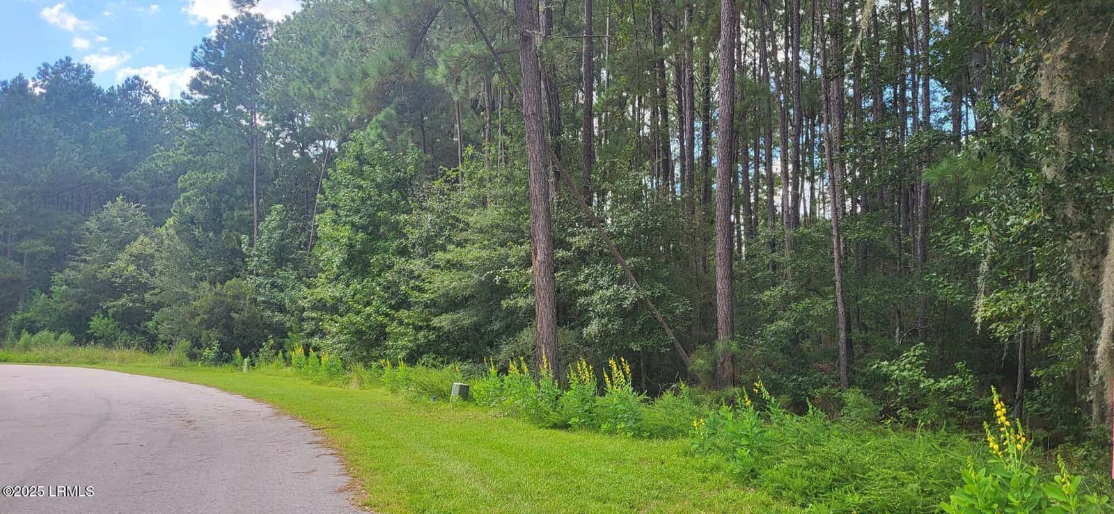 690 Somerset Drive, Yemassee, SC 29945 — photo 12 of 14