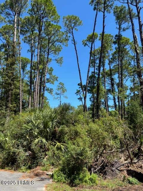 21 Lakeview Lane, Harbor Island, SC 29920 — photo 2 of 18
