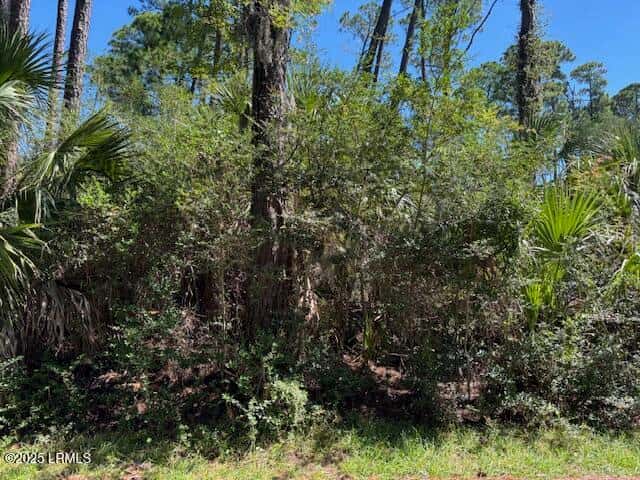 21 Lakeview Lane, Harbor Island, SC 29920 — photo 3 of 18