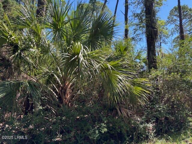 21 Lakeview Lane, Harbor Island, SC 29920 — photo 4 of 18