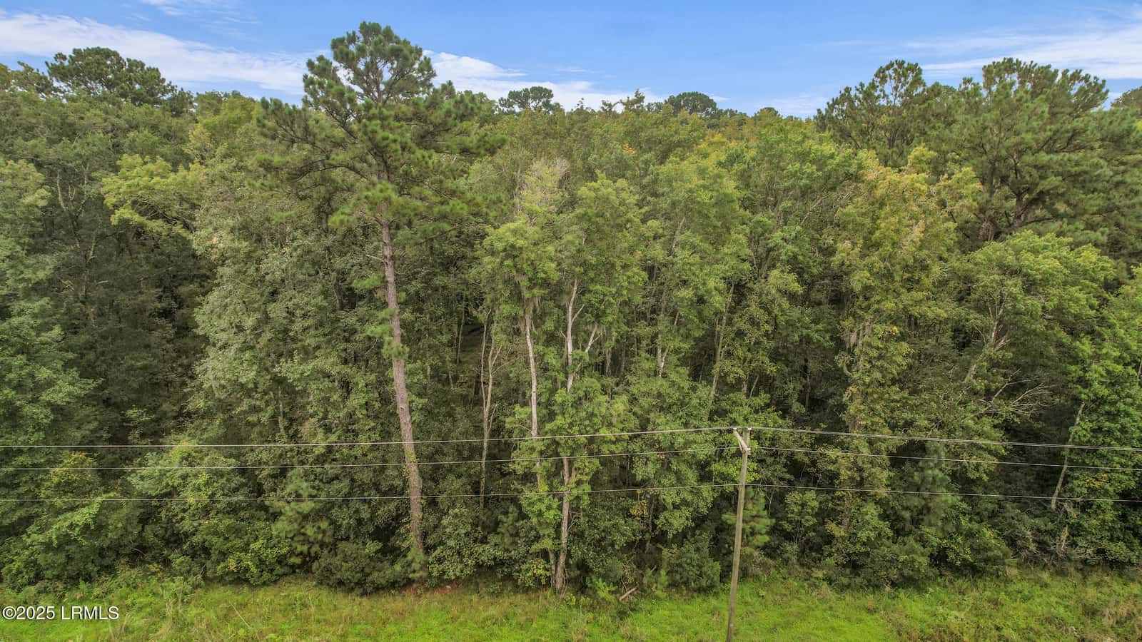 00 Freedom Parkway, Hardeeville, SC 29927 — photo 6 of 26