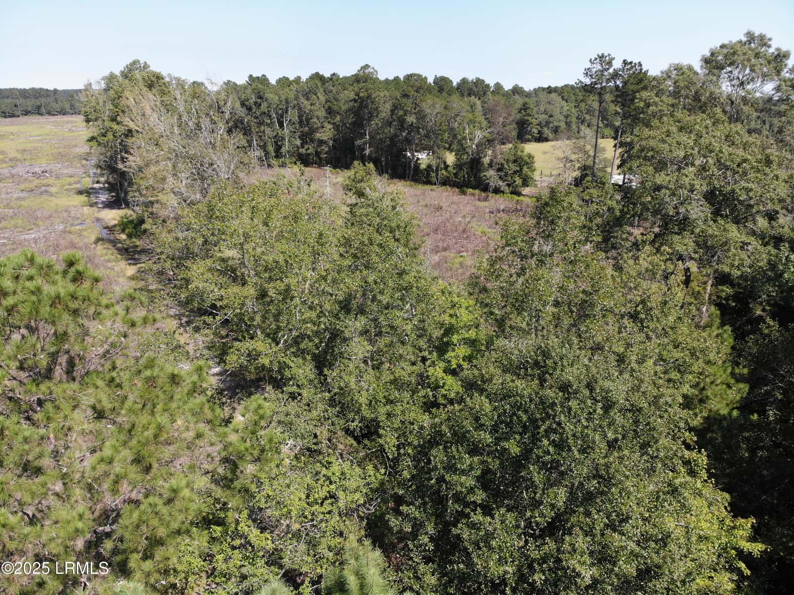 Tbd Old Buckhead Road, Bamberg, SC 29003 — photo 6 of 22