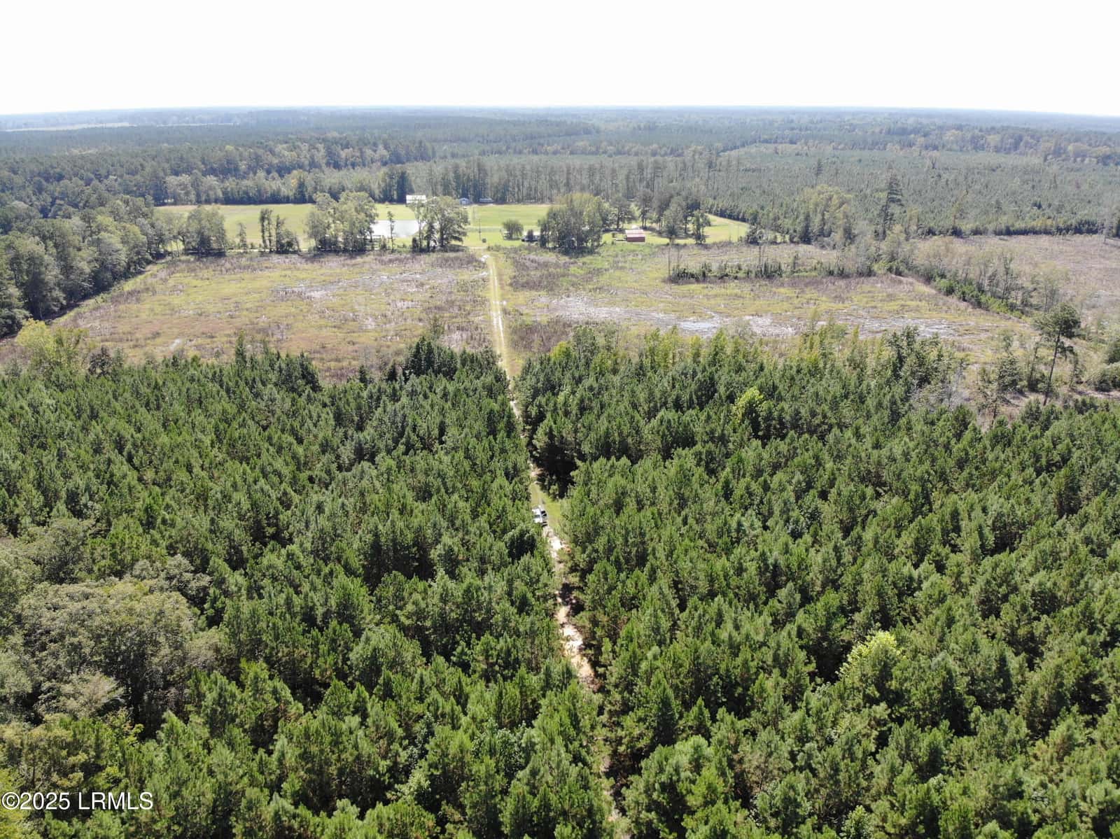 Tbd Old Buckhead Road, Bamberg, SC 29003 — photo 7 of 22