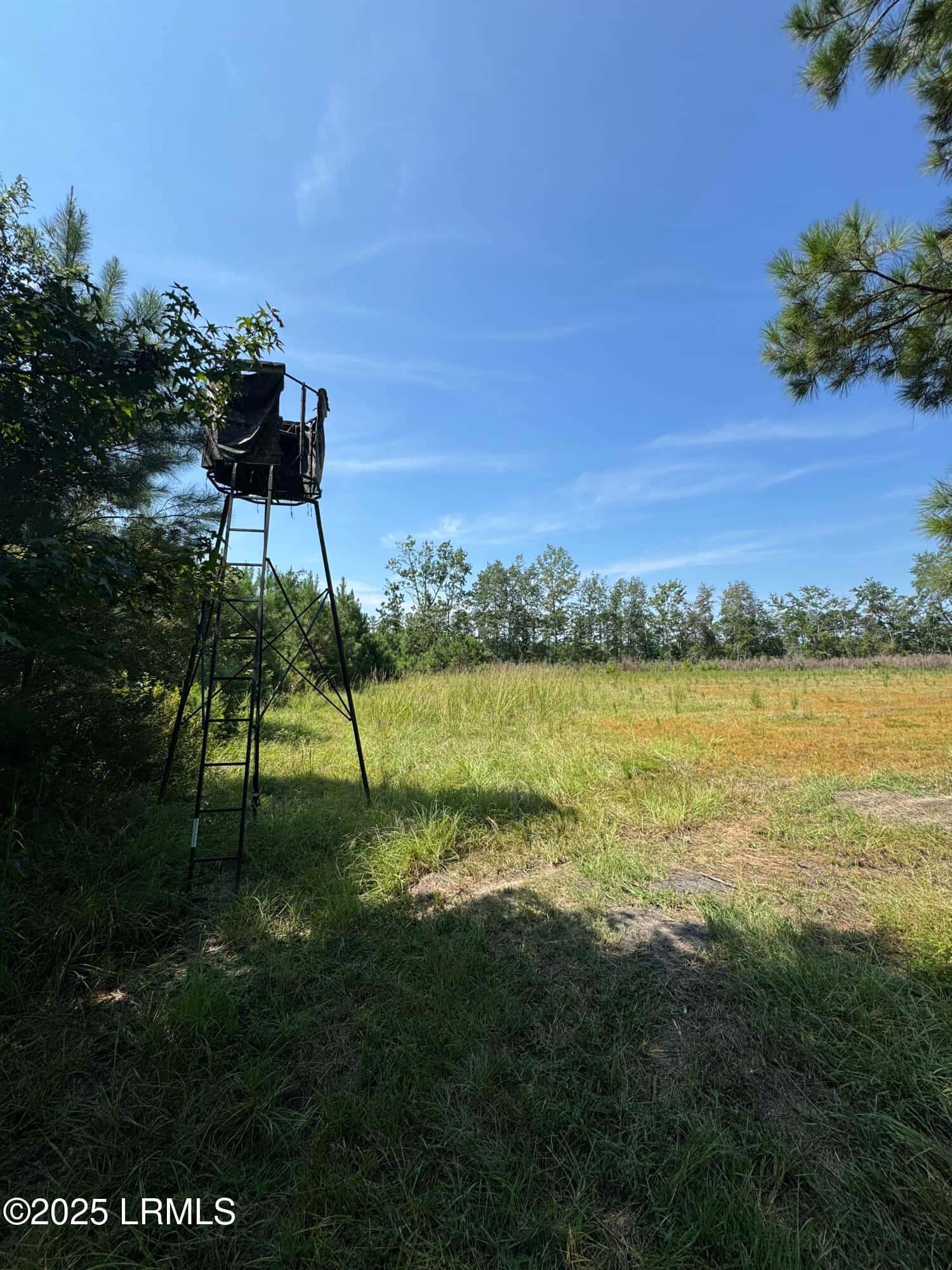 Tbd Old Buckhead Road, Bamberg, SC 29003 — photo 19 of 22
