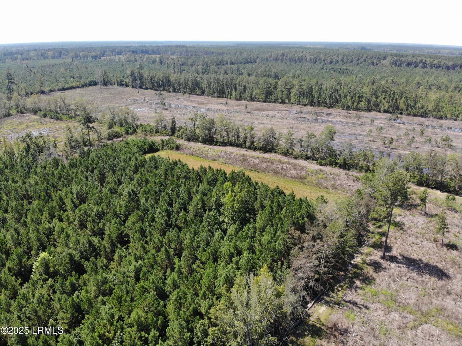 Tbd Old Buckhead Road, Bamberg, SC 29003 — photo 10 of 22
