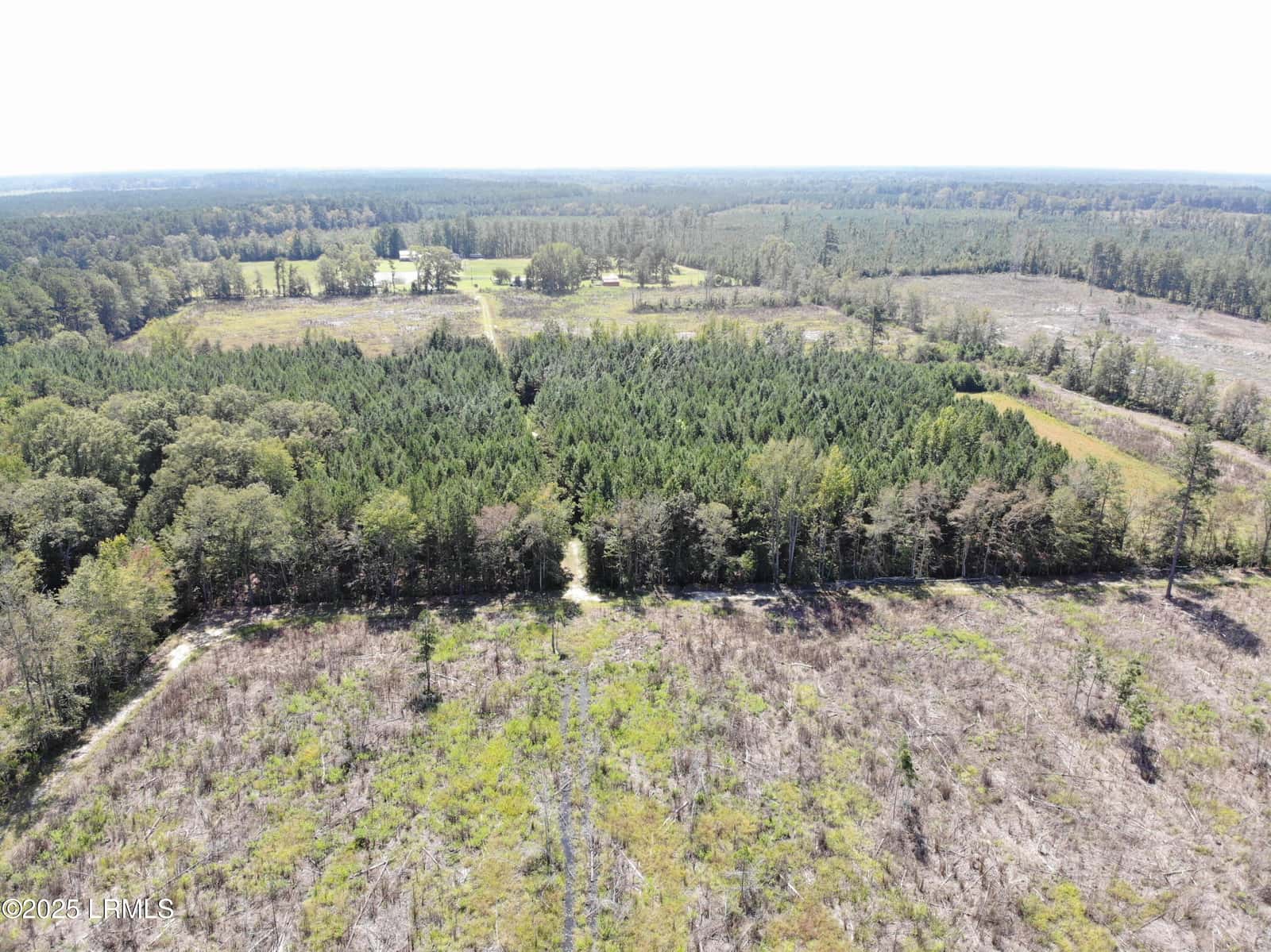 Tbd Old Buckhead Road, Bamberg, SC 29003 — photo 8 of 22