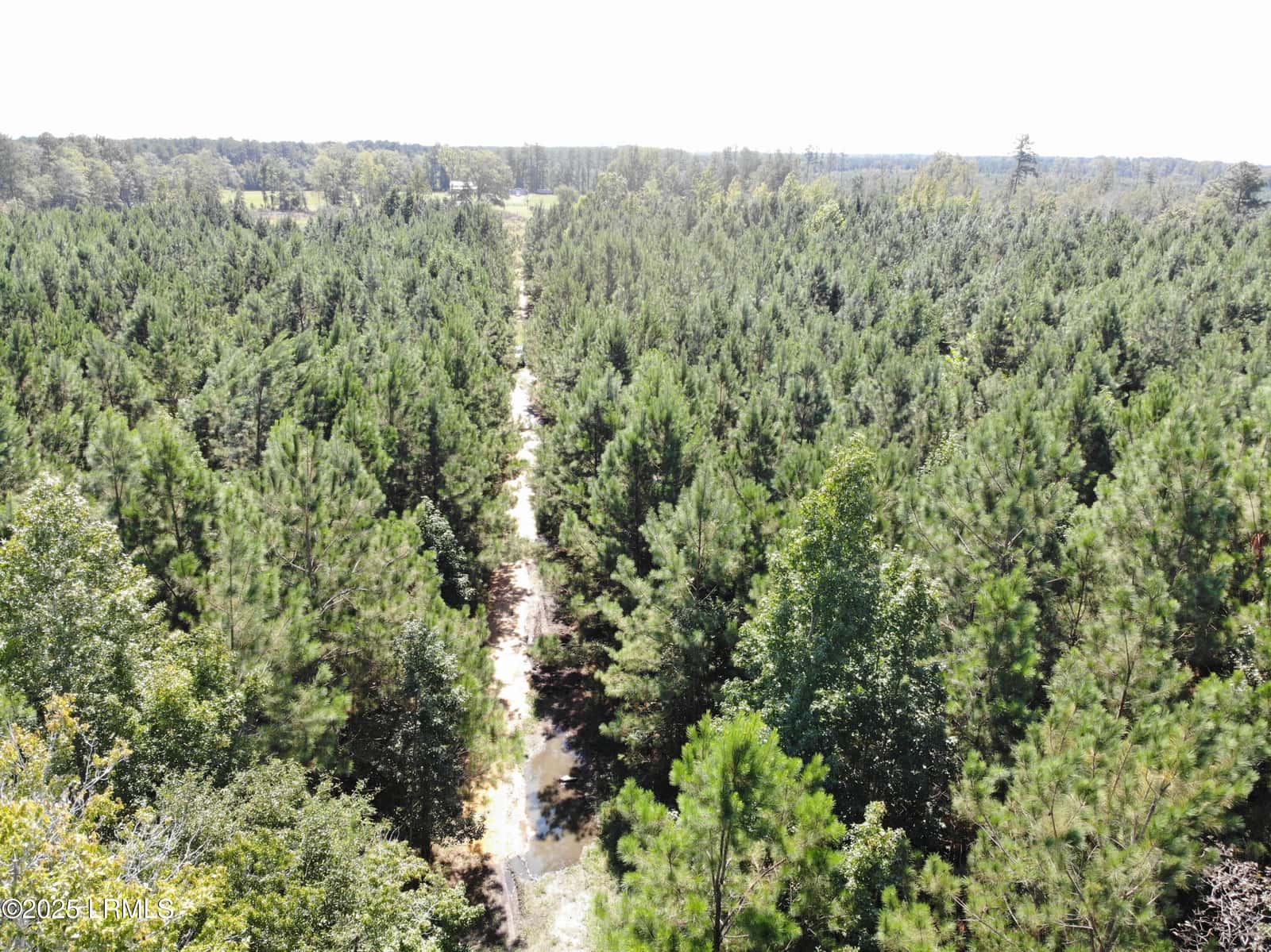 Tbd Old Buckhead Road, Bamberg, SC 29003 — photo 9 of 22
