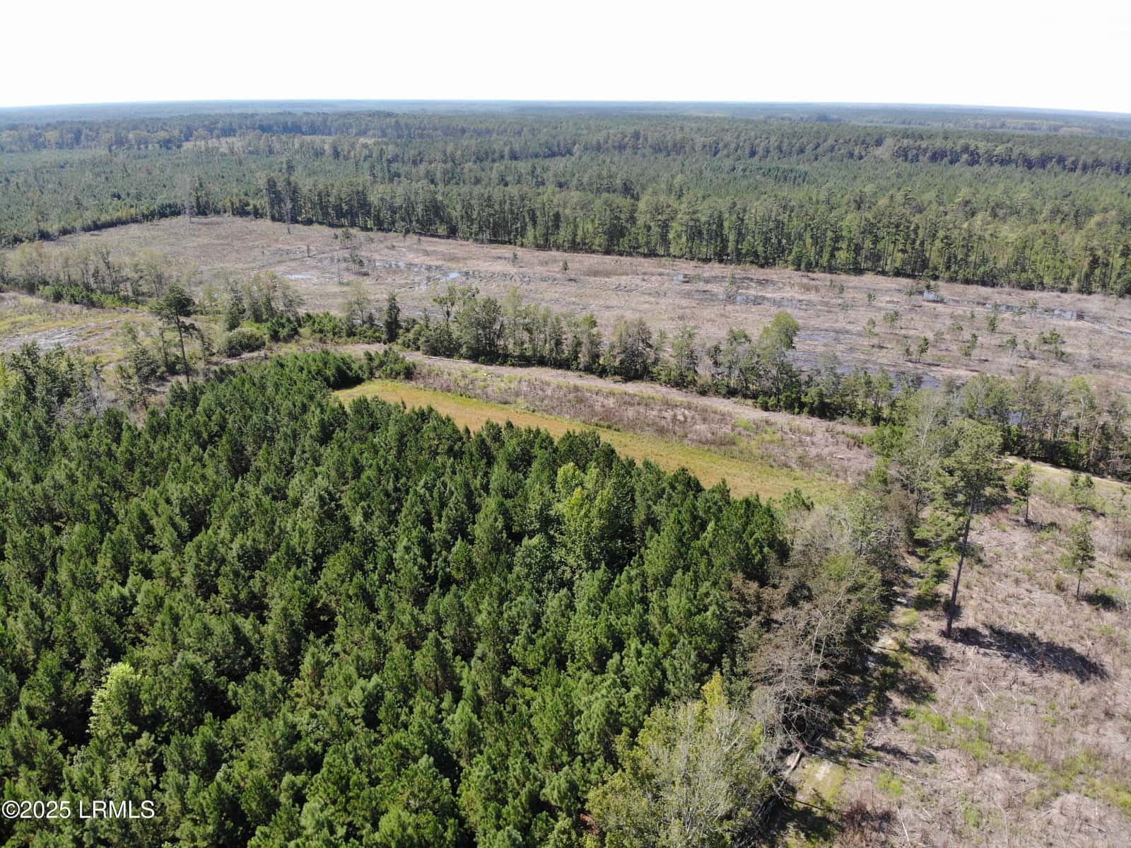 Tbd Old Buckhead Road, Bamberg, SC 29003 — photo 14 of 22