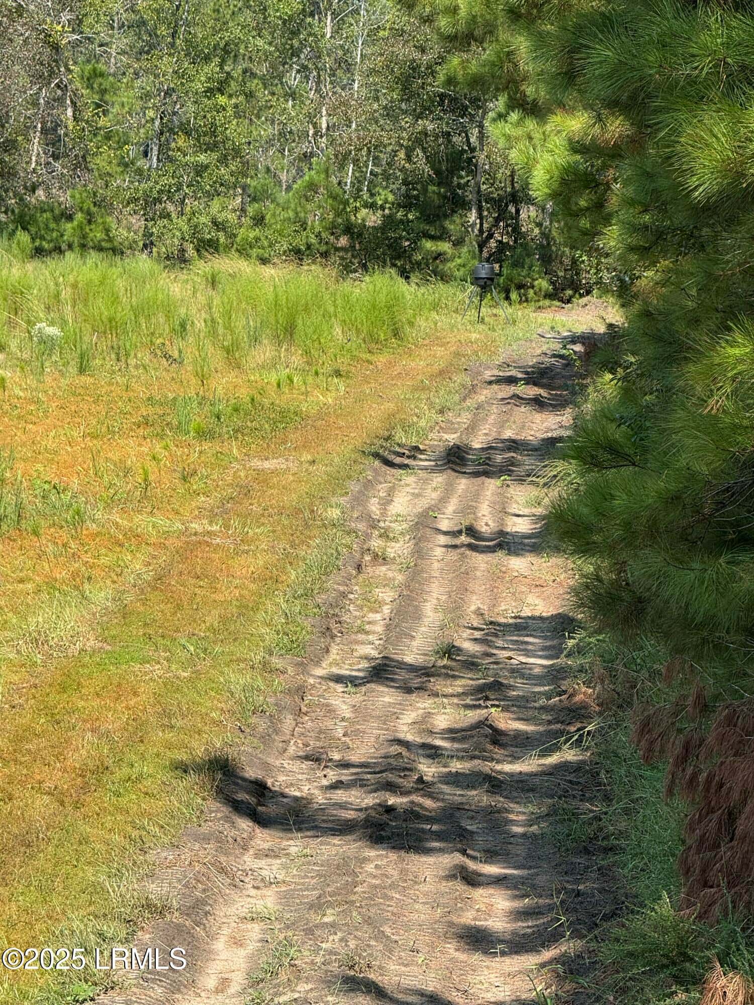 Tbd Old Buckhead Road, Bamberg, SC 29003 — photo 18 of 22