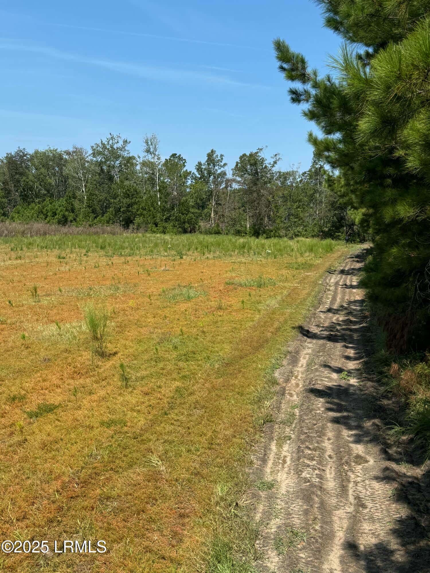 Tbd Old Buckhead Road, Bamberg, SC 29003 — photo 17 of 22