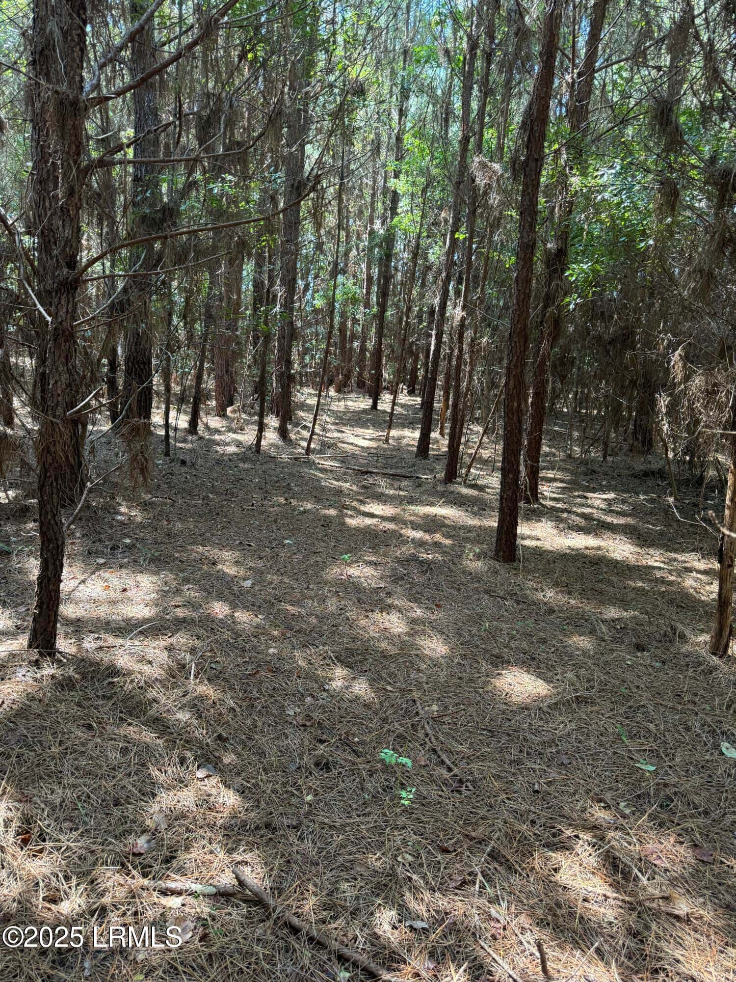 Tbd Old Buckhead Road, Bamberg, SC 29003 — photo 22 of 22