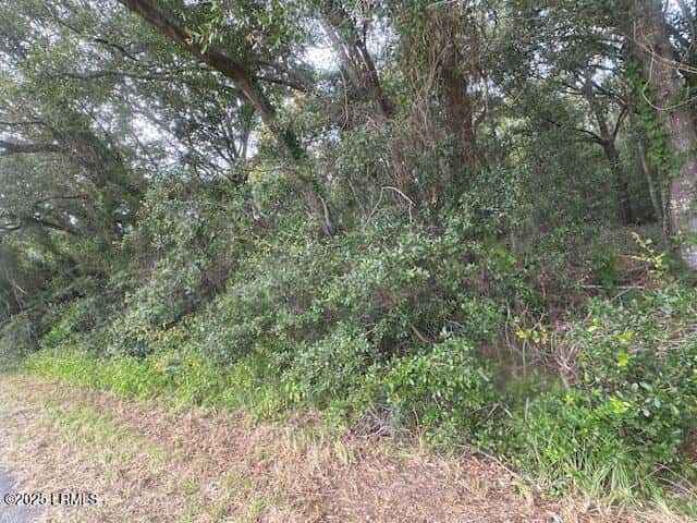 1236 Seaside Road, St. Helena Island, SC 29920 — photo 2 of 4