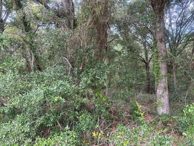 1236 Seaside Road, St. Helena Island, SC 29920 — photo 4 of 4