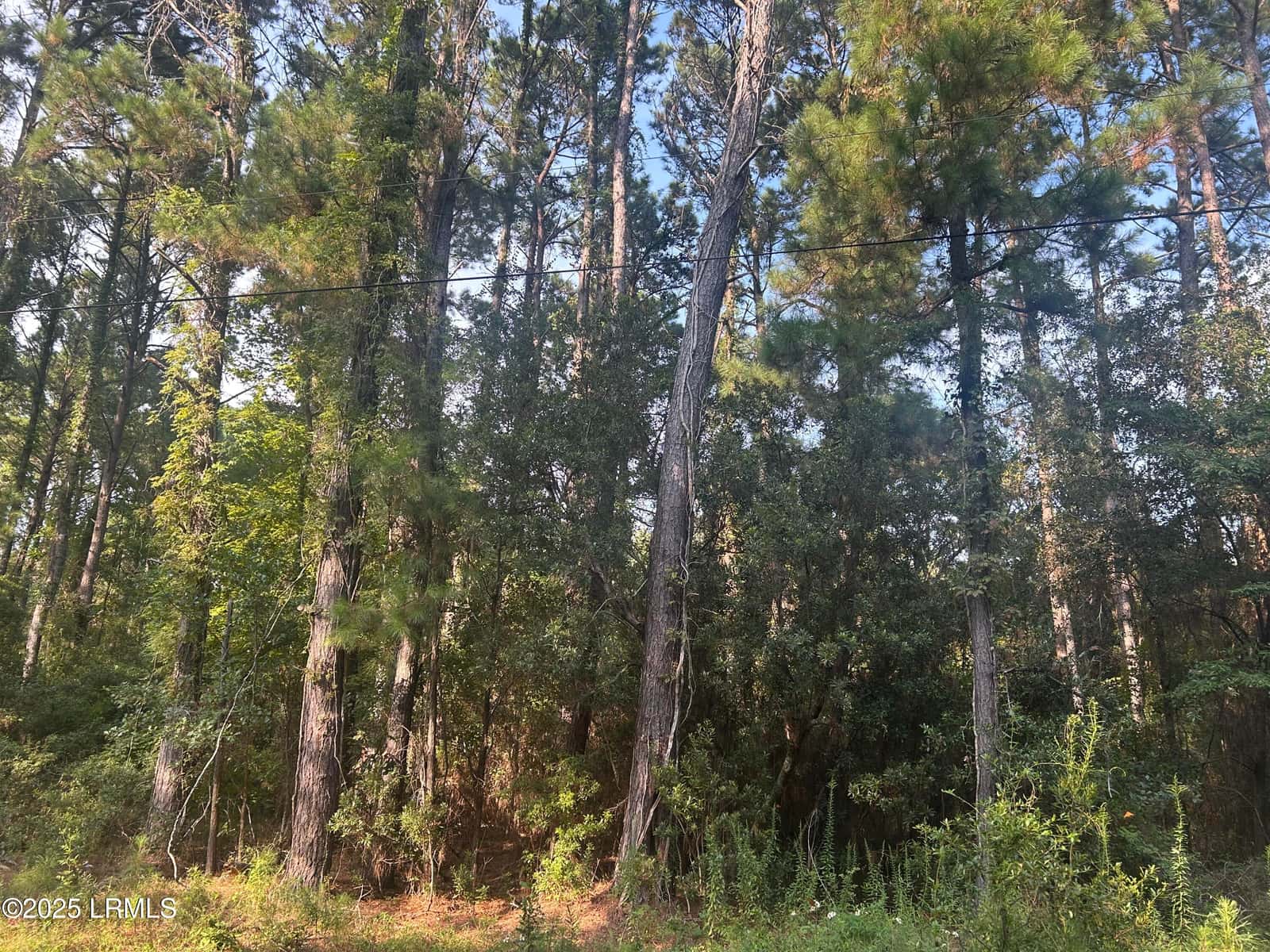 29 Harbor Breeze Drive, St. Helena Island, SC 29920 — photo 2 of 3