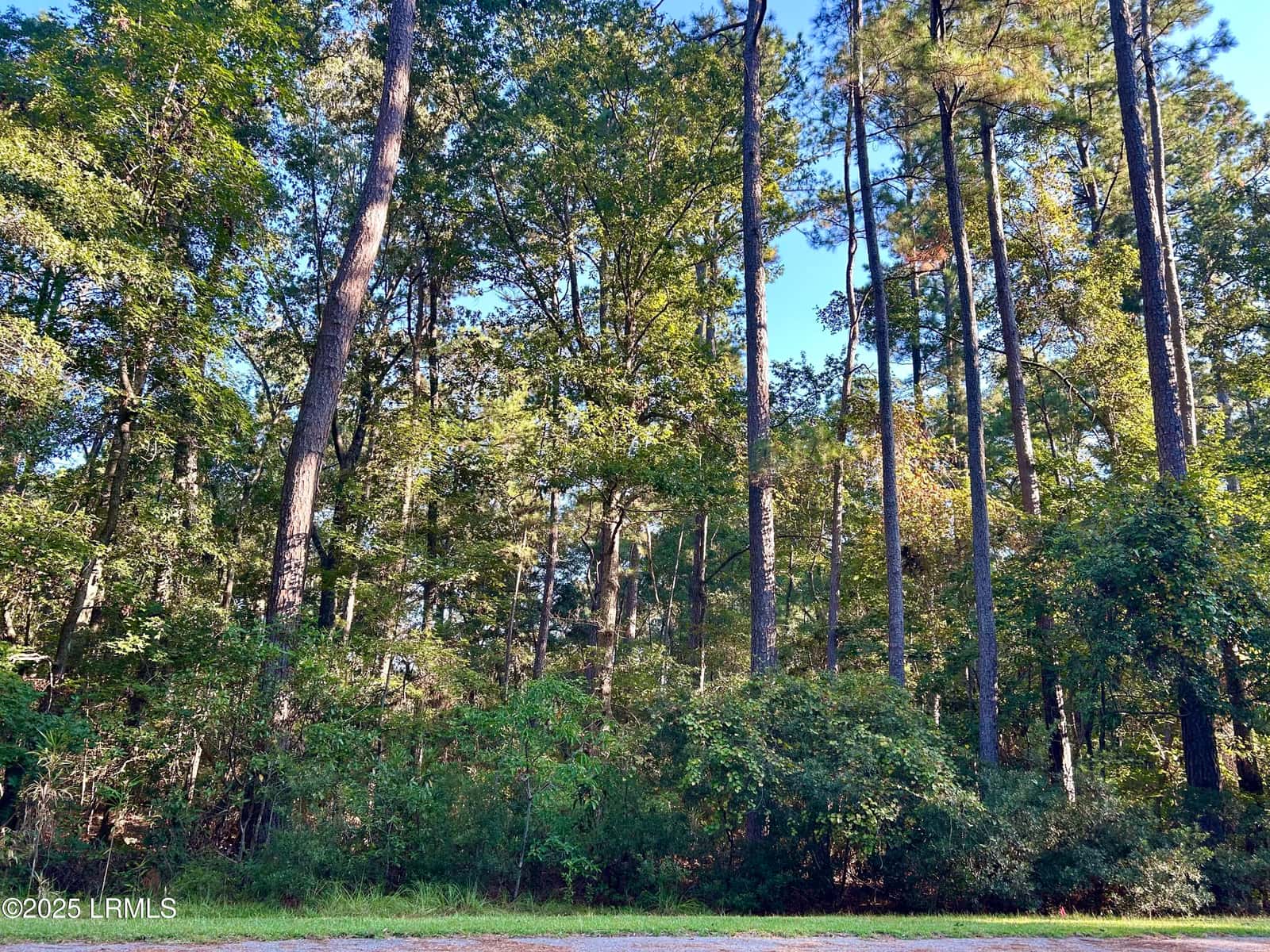 12 Barnaby Bluff, Seabrook, SC 29940 — photo 2 of 15