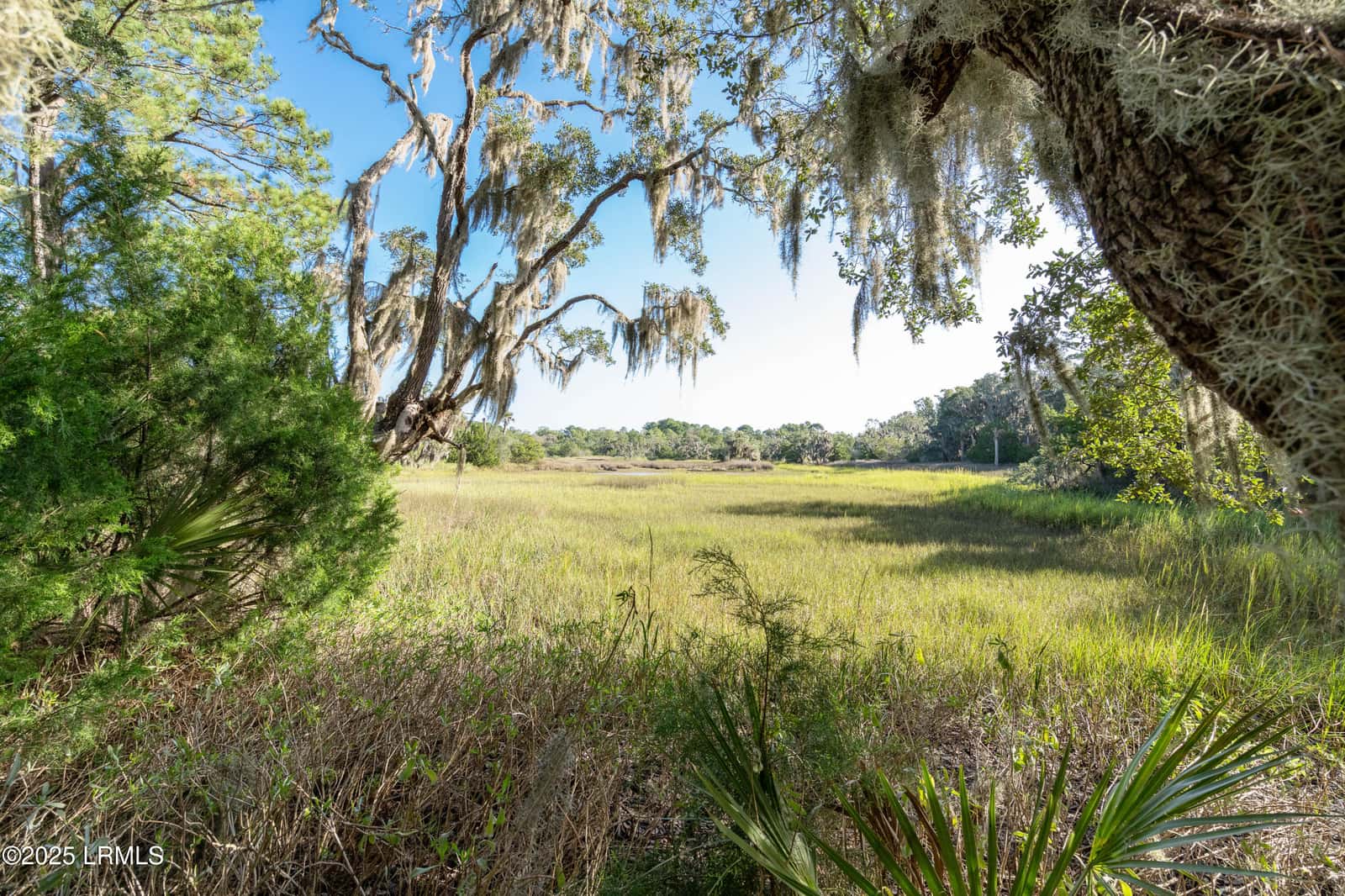 45 Dr Martin Luther King Jr Drive, St. Helena Island, SC 29920 — photo 10 of 18