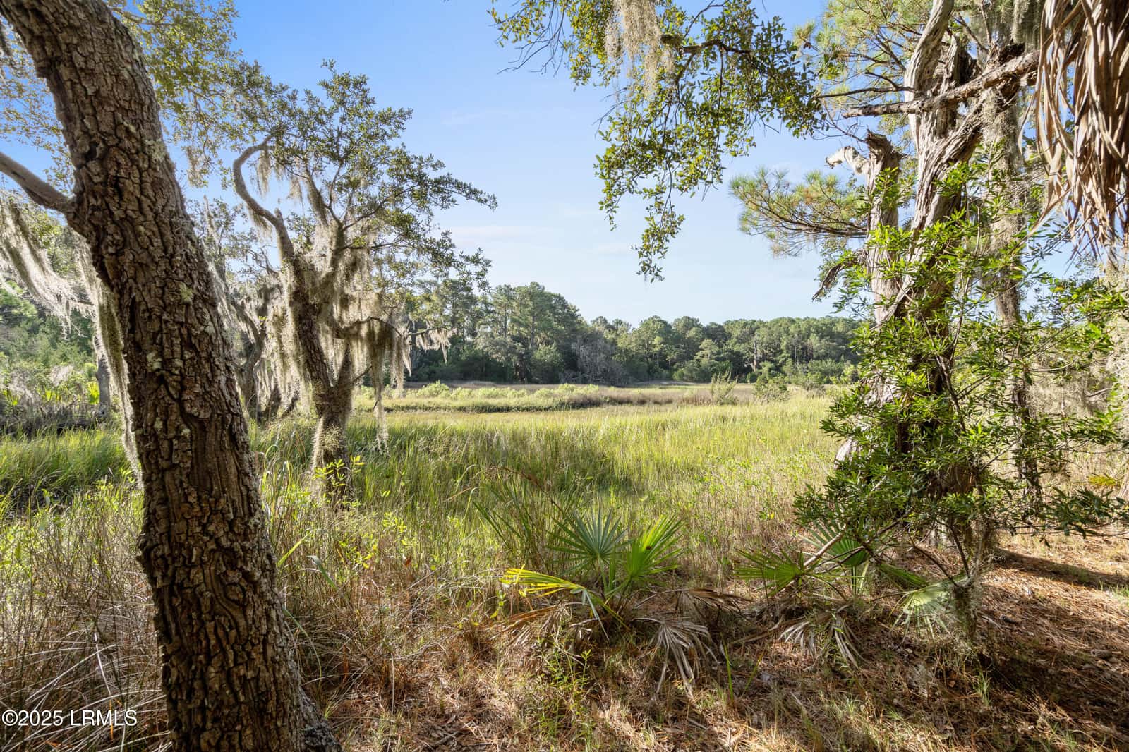 45 Dr Martin Luther King Jr Drive, St. Helena Island, SC 29920 — photo 11 of 18