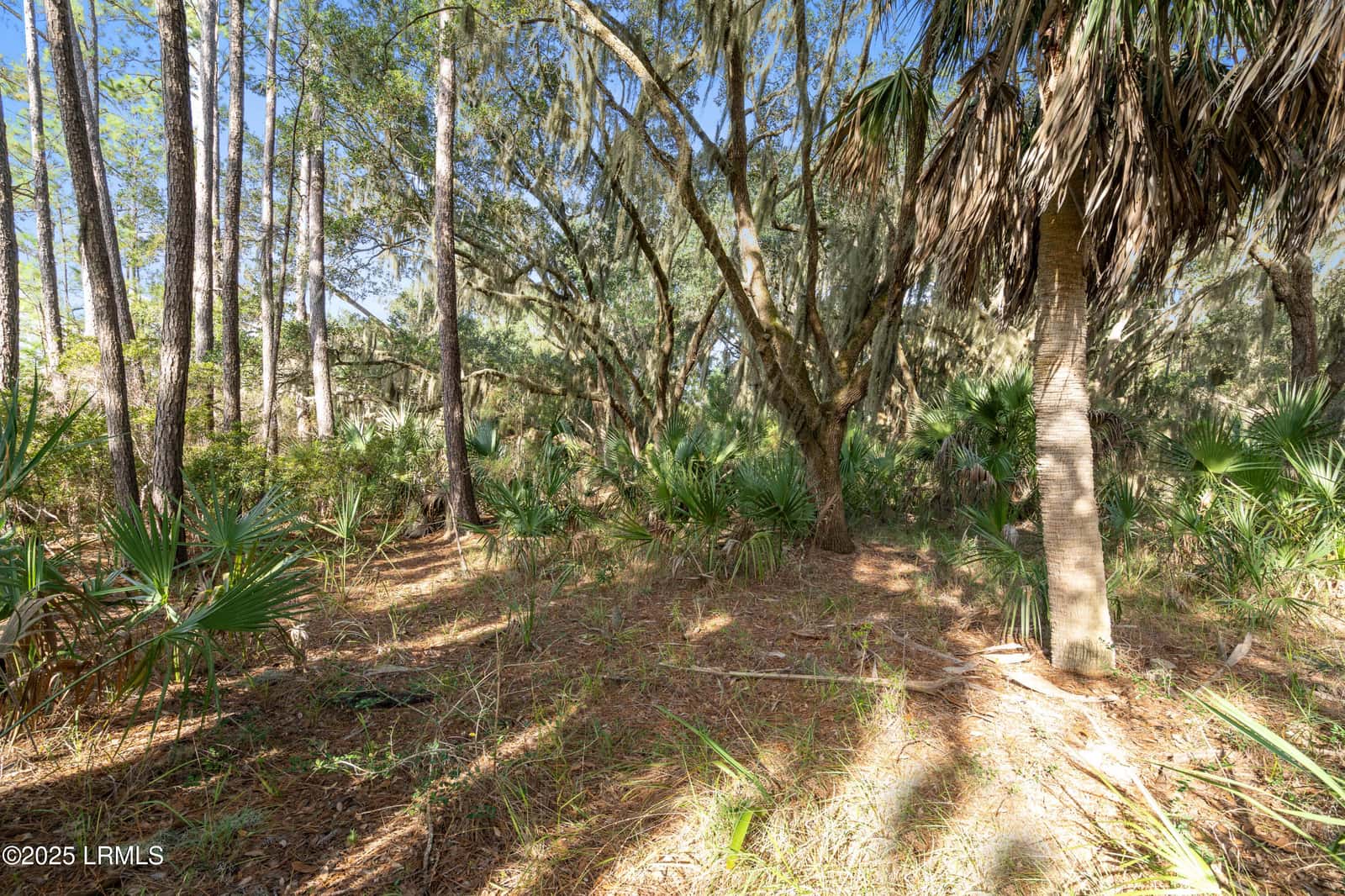 45 Dr Martin Luther King Jr Drive, St. Helena Island, SC 29920 — photo 12 of 18