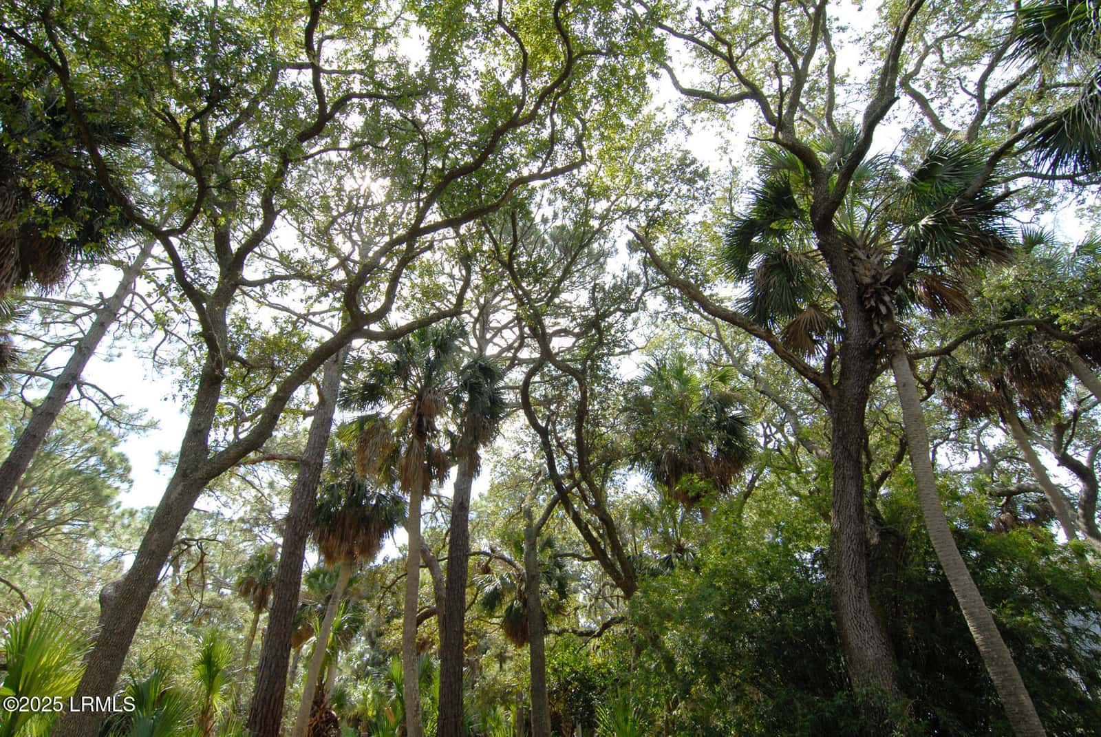 410 Skimmer Cove, Fripp Island, SC 29920 — photo 20 of 25