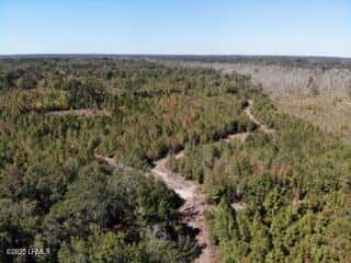 Tbd Broxton Bridge Road, Bamberg, SC 29003 — photo 1 of 9
